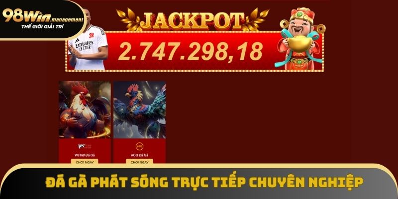 Sảnh Đá Gà phát sóng trực tiếp với các giải đấu chuyên nghiệp