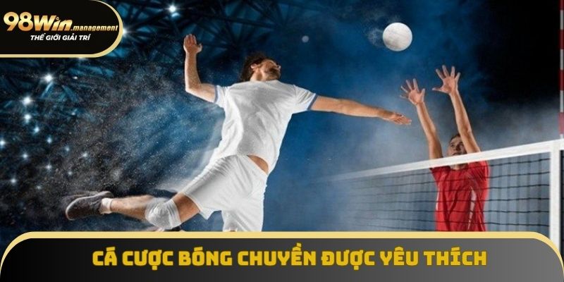 Tham gia cược bóng chuyền siêu hấp dẫn Tham gia cược bóng chuyền siêu hấp dẫn