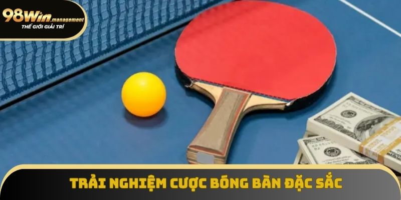 Tham gia cược bóng bàn đặc sắc, chuyên nghiệp Tham gia cược bóng bàn đặc sắc, chuyên nghiệp